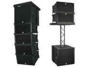 El Mejor La favorable línea accionada de DJ pone en orden el sistema caja de altavoz de 10 pulgadas, sistema de altavoz de la columna para la venta